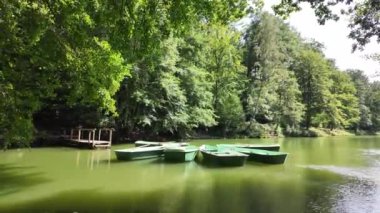 Çevredeki ağaçlar yeşil bir zemin oluştururken, bir grup yeşil tekne sakin bir gölde yavaşça dinleniyor. Huzurlu atmosfer rahatlama ve yansımayı davet eder. Yüksek kalite 4k görüntü