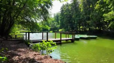 Sakin bir göl manzarası yeşil yüzen platformlara giden ahşap bir rıhtıma sahiptir. Tomurcuk ağaçlar ılık yaz ortamında huzurlu bir atmosfer yaratır. Yüksek kalite 4k görüntü