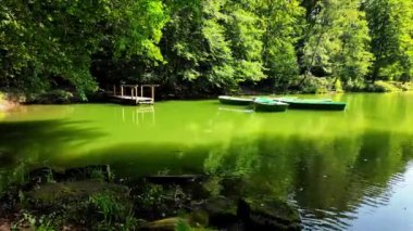 Çevredeki ağaçlar yeşil bir zemin oluştururken, bir grup yeşil tekne sakin bir gölde yavaşça dinleniyor. Huzurlu atmosfer rahatlama ve yansımayı davet eder. Yüksek kalite 4k görüntü