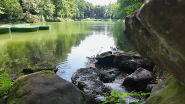 Huzurlu Göl Manzarası Huzurlu Doğa Ortasında Yeşil Kayıklar Arasında. Yoğun yeşilliklerle çevrili yüksek kalite 4k deniz ürünü sakin göl boyunca demirli birkaç yeşil kayık bulunuyor.