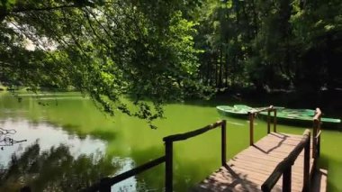 Huzurlu Göl Manzarası Huzurlu Doğa Ortasında Yeşil Kayıklar Arasında. Yoğun yeşilliklerle çevrili yüksek kalite 4k deniz ürünü sakin göl boyunca demirli birkaç yeşil kayık bulunuyor.