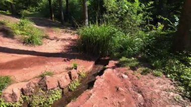Ormanda küçük bir deresi ve bankı olan bir patika. Yedek kulübesi boş. Yol ağaçlar ve çalılarla kaplı.