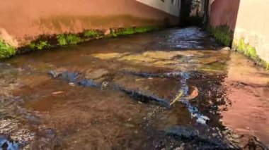 Suyun yavaşça merkezinden aşağı aktığı dar bir ara sokak görülür, aşınma ve yaşlanma belirtileri gösteren duvarlarla çevrilidir. Zemin kısmen su altında, berraklığın altındaki kayalık dokuları gösteriyor.