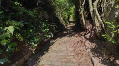 Huzurlu bir ormanlık alana yerleşmiş bu sakin patika sizi yemyeşil ve doğal güzelliklerle dolu sakin bir yürüyüşe davet ediyor. Dar, kaldırım taşı patikası canlı eğreltiotlarıyla çevrili.