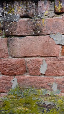 The surface of a brick wall showcases a mixture of red and gray stones, displaying a rich texture and an array of shapes. Sections of the wall reveal signs of weathering, with some bricks appearing cracked and eroded over time. Moss and green lichen  clipart