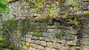 Düzensiz şekilli, yıpranmış taşlardan oluşan dayanıklı taş duvar dikey olarak genişliyor ve griden kahverengiye kadar değişen bir dizi toprak tonu sergiliyor. Zaman içinde, doğa bunu talep etti.