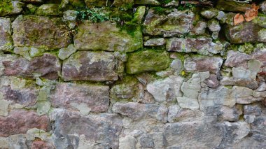 Yıpranmış taş bir duvar belirgin bir şekilde duruyor, zaman tarafından işlenmiş dokulardan ve renklerden oluşan zengin bir duvar resmi sergiliyor. Tarihsel bir alanın parçası olan bu sağlam yapı canlı yeşil parçalarla kaplıdır.