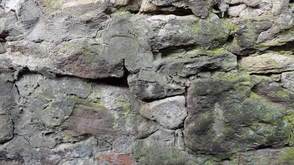 Yakın çekim, yıpranmış bir taş duvarın karmaşık dokularını ve desenlerini ortaya çıkarır. Yüzey, çatlaklarda büyüyen yeşil yosun parçalarıyla vurgulanan gri ve kahverengi tonlarıyla işaretlenmiştir. Taşlar yaşlılık belirtileri gösteriyor, smo ile