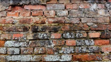 A close-up view of a weathered brick wall showcases the intricate play of textures and colors formed by age. The bricks, some a rich reddish hue and others more muted, exhibit signs of wear such as cracks and surface erosion. Moss and lichen have mad clipart