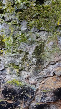Engebeli bir taş duvar, canlı yeşil yosun ve yosun parçalarıyla birbirine karışmış gri ve siyah kaya katmanlarıyla zengin bir duvar halısı sergiliyor. Doğal elementlerin etkileşimi büyüleyici bir görsel manzara yaratır ve etkilerini gösterir. 