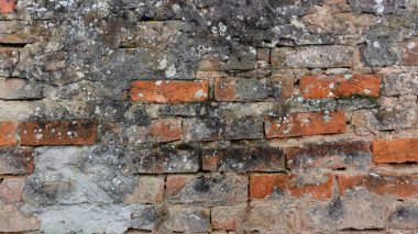 A weathered brick wall displays a rich tapestry of textures, colors, and natural elements. The combination of red and gray bricks, some partially covered with moss, suggests years of exposure to the elements. The difference in brick sizes and the fad clipart