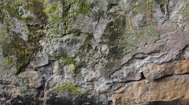 Yıpranmış bir kayanın engebeli yüzeyi, gri ve bronzlaşmanın çeşitli tonlarını gösteren zengin bir dokuya sahiptir. Yosun ve yosun parçaları, taşa karşı canlı yeşil bir kontrastlık yaratır. Bu da çevrede nem olduğunu gösterir. Bu doğal.