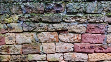 Duvar, kahverengi, bej ve kırmızı tonlarını da içeren çeşitli toprak tonlarında tuğlaların karmaşık bir düzenini içerir. Bazı tuğlalar yıpranma ve yaşlanma belirtileri gösterirken, yeşil yosun parçaları bir