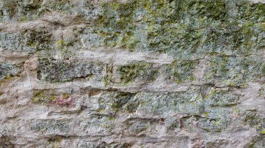 Eski bir taş duvar, gri ve açık yeşilin çeşitli tonlarını gösteren eşsiz bir dokuya sahiptir. Yüzey, zamanla gelişen yosun ve yosun parçalarıyla süslenmiş.