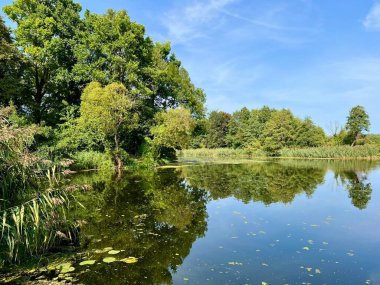 Suyun üzerinde yansıması olan sazlıklar ve ağaçlarla çevrili bir orman gölü. Yaz sahnesi açık hava aktivitelerini, deniz kenarında tatilleri, doğanın sakinliğini, seyahat ilhamı için mükemmel.