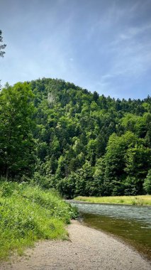 Arka planda dağlar olan Dunajec Nehri 'nin dikey fotoğrafı. Polonya, Pieniny Ulusal Parkı 'nda manzara. Seyahat, yürüyüş, turizm ve doğa temalı projeler için ideal