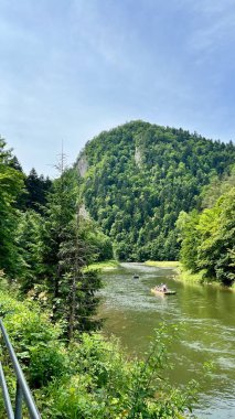 Dunajec Nehri 'nin heybetli dağlarla ve yemyeşil yeşilliklerle çevrili turistleri taşıyan sallarıyla dikey fotoğrafı. Polonya 'daki Pieniny Ulusal Parkı' nda doğa ve turizmi vurguluyor.