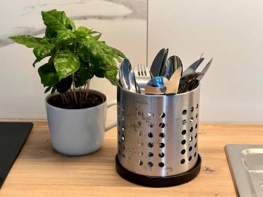 Çatal bıçak tutacağının yatay fotoğrafı ve mutfak masasındaki saksı bitkisi. Mutfak dekorasyonu, ev düzeni ve yemek ayarları için mükemmel. Samimi, şık mutfak görselleri için ideal..