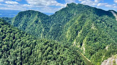 View of the mountains and the Dunajec River from above in Pieniny National Park, Poland, as seen from Mount Sokolica. Ideal for travel, hiking, and outdoor adventure themes. clipart