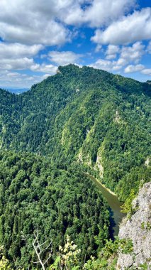 Polonya 'nın Pieniny Ulusal Parkı' nın yukarısından Sokolica Dağı 'ndan görülen dağların ve Dunajec Nehri' nin dikey fotoğrafı. Seyahat, yürüyüş ve açık hava macera temaları için mükemmel..