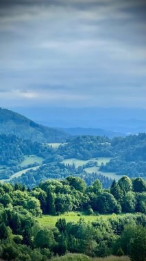 Palenica Dağı 'ndan Slovakya' daki dağlara olan manzaranın dikey fotoğrafı. Yürüyüşü, açık hava aktivitelerini ve Polonya 'daki Pieniny Ulusal Parkı' nda seyahatleri ön plana çıkarıyor.