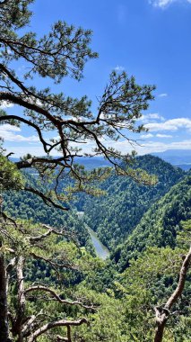 Polonya 'nın Pieniny Ulusal Parkı' ndaki Sokolica Dağı ile Trzy Korony Dağı arasındaki patikadan dağların ve Dunajec Nehri 'nin dikey fotoğrafı görülüyor. Yürüyüş, seyahat ve doğa temaları için mükemmel..