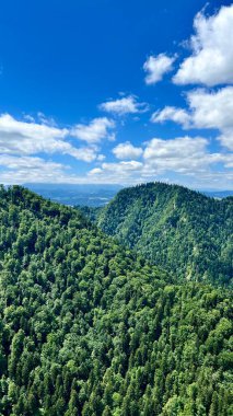 Polonya 'nın Pieniny Ulusal Parkı' ndaki Trzy Korony Dağı 'na giden yolda dağ manzarasının dikey fotoğrafı. Yürüyüş, aktif yaşam tarzı, seyahat ve doğa keşfi temaları için mükemmel.