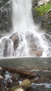 Georgia, Adjara 'daki Merisi Şelalesi' nin kayalık kayalıklardan aşağı yuvarlanışının dikey videosu. Doğa, seyahat, şelale, dağ manzaraları, eko-turizm ve manzara manzarası için idealdir..