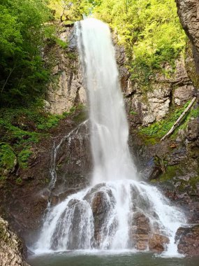 Gürcistan 'daki Merisi şelalesinin dikey fotoğrafı, dağ doğası, akan su, orman manzarası, manzara, seyahat yeri, doğal güzellik, açık hava macerası, barışçıl çevre.