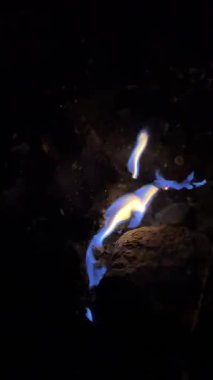 Chimaera Yanartas Dağı 'nın alevlerinin dikey videosu, Antalya, Türkiye. Dağ yamacında doğal gaz yangınları. Doğa, jeoloji, seyahat ve doğal fenomenler için ideal.