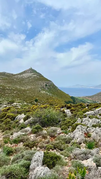 Yunanistan 'ın Kastellorizo Adası' ndaki alçak çalı ve tepeli kayalık arazinin dikey fotoğrafı. Akdeniz doğası, Yunan manzarası, kırsal arazi, yaz seyahati, doğal çevre. 
