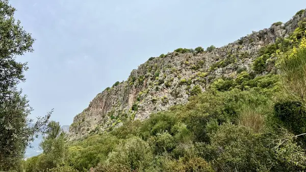 Türkiye 'de mavi gökyüzünün altındaki yeşil çalılar ve ağaçlarla kaplı Rocky yamacı. Doğal manzara, eko-turizm, doğa yürüyüşü, vahşi yaşam, yalnızlık, dokunulmamış doğa, Akdeniz manzarası, Lycian Yolu. 
