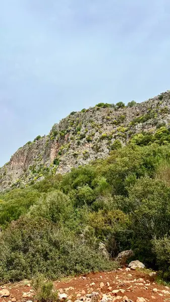 Türkiye 'de mavi gökyüzünün altında yeşil çalılar ve ağaçlarla kaplı kayalık bir yamacın dikey fotoğrafı. Doğal manzara, eko-turizm, doğa yürüyüşü, vahşi yaşam, yalnızlık, dokunulmamış doğa, Akdeniz manzarası, Lycian Yolu.