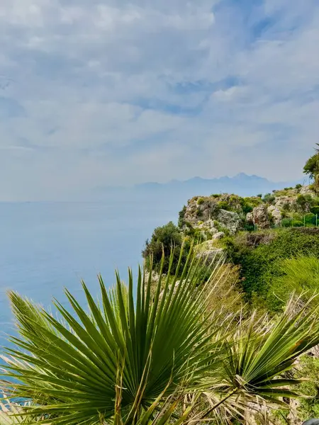 Çiçek açan salkımlı kayalık yamaçların dikey fotoğrafı ve bulutlu gökyüzünün altında sisli dağlara ve denize tepeden bakan tropikal yeşillik. Bahar manzarası, Akdeniz florası, kıyı bahçesi, Antalya, Türkiye 