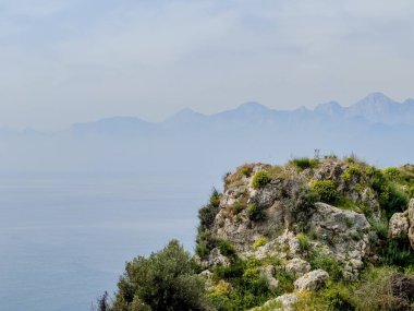 Çiçek açan salkımlı kayalık yamaçlar ve parçalı bulutlu gökyüzü altında sisli dağlara ve denize tepeden bakan tropikal yeşillikler. Bahar manzarası, Akdeniz florası, kıyı bahçesi, doğa, Antalya, Türkiye. 