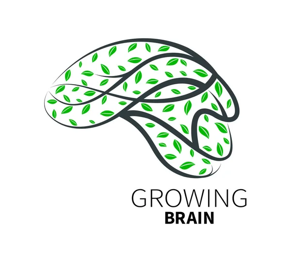 Árbol Que Crece Forma Cerebro Humano Diseño Iconos Inspiración Plantilla — Archivo Imágenes Vectoriales