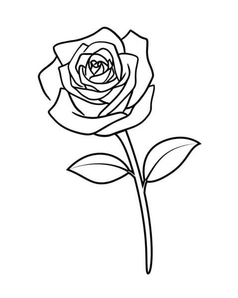Rose Line Konst Design Blommig Vektor Illustration Glad Högtid — Stock vektor