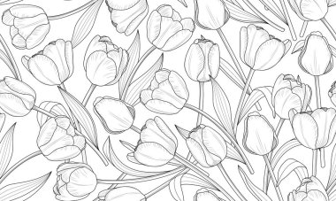 Kusursuz Desensiz Çiçek Lale Hattı. Çiçek Botanik El arka planda çizilmiş. Vektör illüstrasyonu.