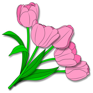 Gölgeli pembe lale buketi