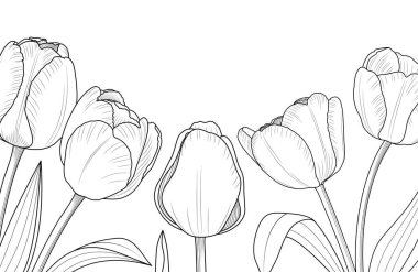 Bir grup lale sanat eseri. Çiçek pankartı tasarımı vektör illüstrasyonu.