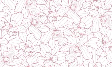Kusursuz Desensiz Çiçek Orkidesi Taslak. Çiçek Botanik El arka planda çizilmiş. Vektör illüstrasyonu.