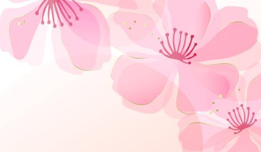 Kenarlarında pembe kiraz çiçekleri (sakura) bulunan yumuşak ve zarif çiçek arkaplanı. Çiçeklerin suluboya gibi yumuşak bir etkisi vardır. Vektör illüstrasyonu.