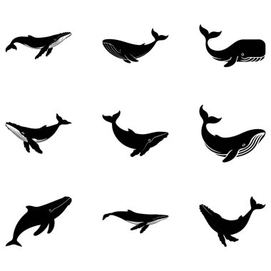Çeşitli pozlarda dokuz siyah balina silueti koleksiyonu. Basit, zarif tasarımlar kambur balina, sperm ve diğer balina türlerini gösteriyor..