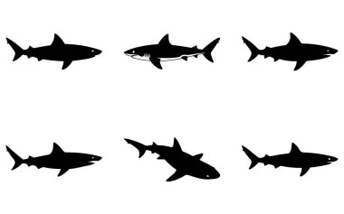 Beyaz arka planda altı siyah köpekbalığı silueti gevşek bir çerçeveye yerleştirilmiştir. Farklı açılar ve boyutlar gösterilir.