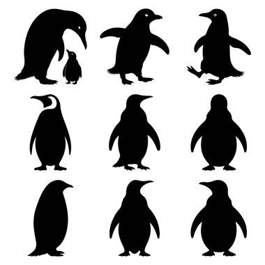Dokuz siyah penguen silueti koleksiyonu yetişkin, yavru ve çeşitli pozları gösteriyor. Basit, temiz tasarım, beyaz arkaplanda izole.