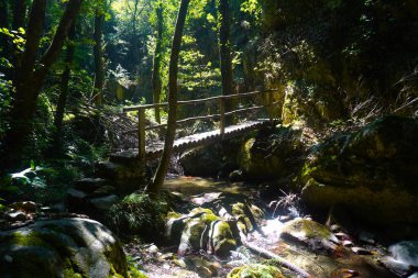 Ahşap bir yaya köprüsü bir dağ deresinin üzerinden atılır. Eğreltiotları kayaların ve ağaçların tabanını süsler vahşi ve doğal bir atmosfer yaratır. Sessizlik hakim olmasına rağmen doğanın gücü ve akan suyun enerjisi hissedilebilir..
