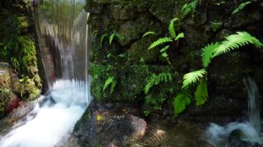 Ormanda berrak bir şelale. Kayaların arasında büyüyen eğrelti otları, küçük doğal bir havuz, suyun üzerinde ahşap bir köprü ve dağın tepesine doğru oyulmuş adımlar..