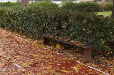 Park bankı dökülen yapraklarla kaplı, sonbahar geldi..