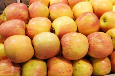 Farklı türde taze elmalar. Kırmızı, yeşil ve sarı meyveler tezgahın üzerine güzelce serilir, parlak ve iştah açıcı bir kompozisyon oluşturur..