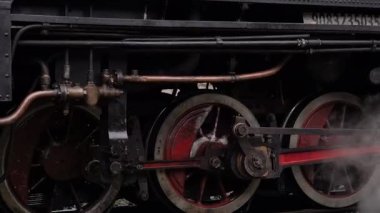 Buharlı lokomotif - buharlı tren Sila. Camigliatello Silano İtalya 02.02.2025